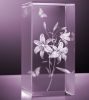 Bloc de verre 3D fleur de Lys forme rectangulaire